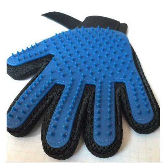 3383727008_484843333