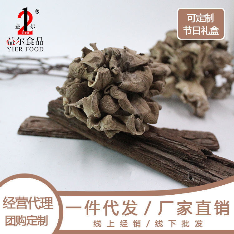 益尔新货高山千佛菌灰树花无泥沙栗子蘑舞茸干货食用菌土特产500g|ms