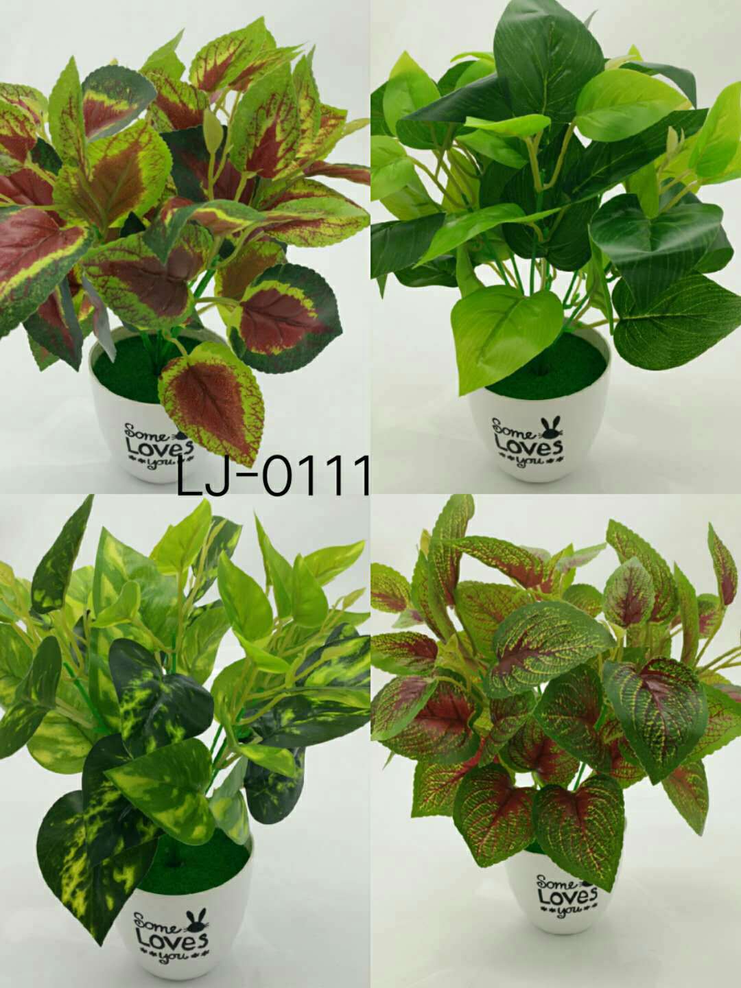 WeChat 圖片_20200704115443