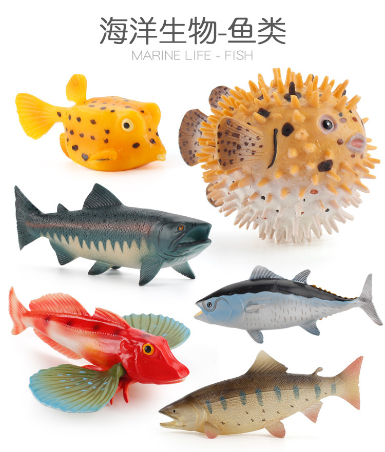 鱼类模型9件套_02.jpg