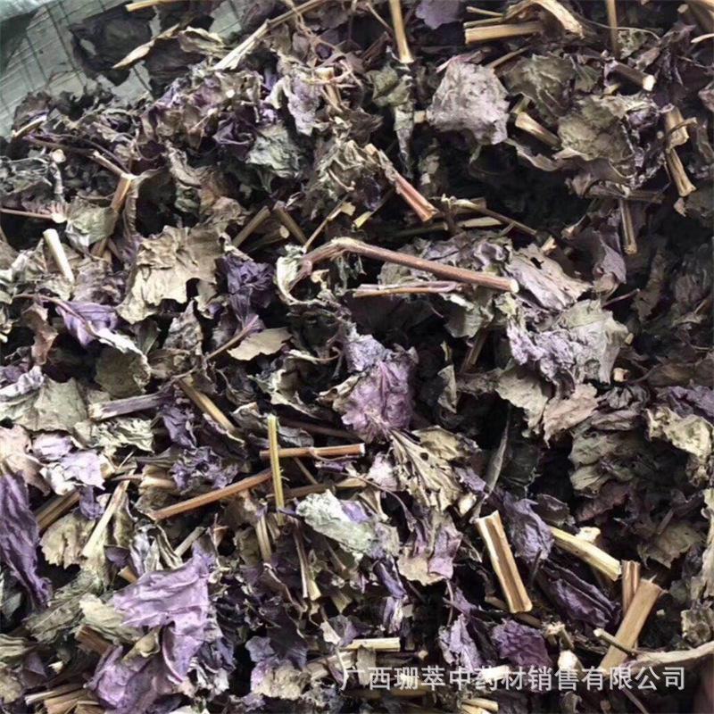 壹手貨源産地直銷紫蘇葉中藥材大貨批發