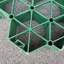 ���Bͣ܇����ֲ�ݸ�5cm�߶�С�^ͣ܇λ�G��ֲ�ݸ���픻��@��ƺ��