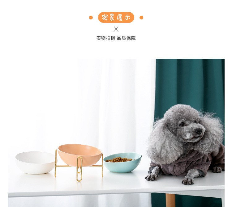 金架斜口猫碗_10.jpg