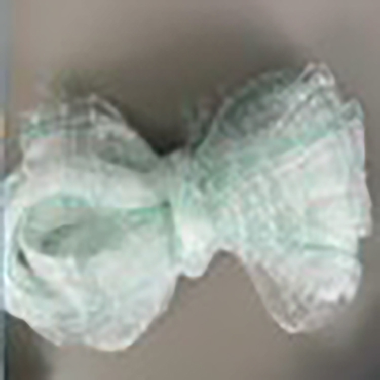 厂家现货供应防鸟网 蔬菜大棚果园园林防护网防鸟网4m*10m