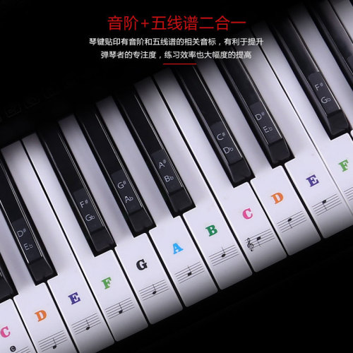 88/61/54 Piano transparent color stickers electronic keyboard hand-rolled piano key stickers simple notation scale stickers