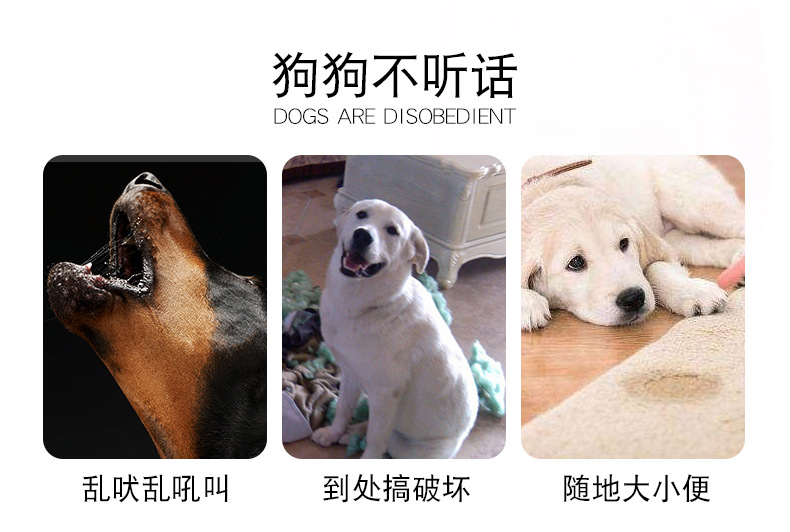 Дрессировка домашних животных clicker_03.jpg