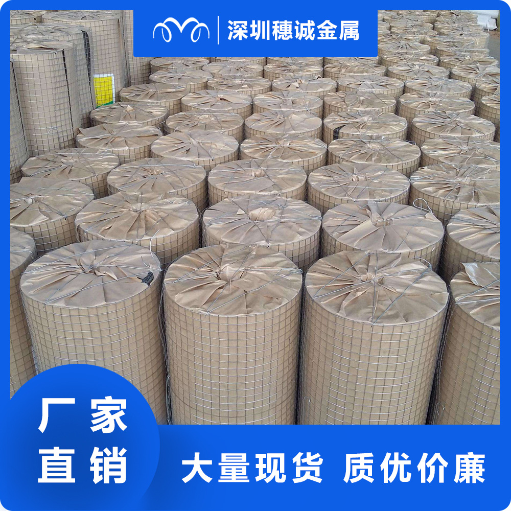 厂家长期供应 电焊网 镀锌铁丝网耐磨防腐抹墙网 品质保证