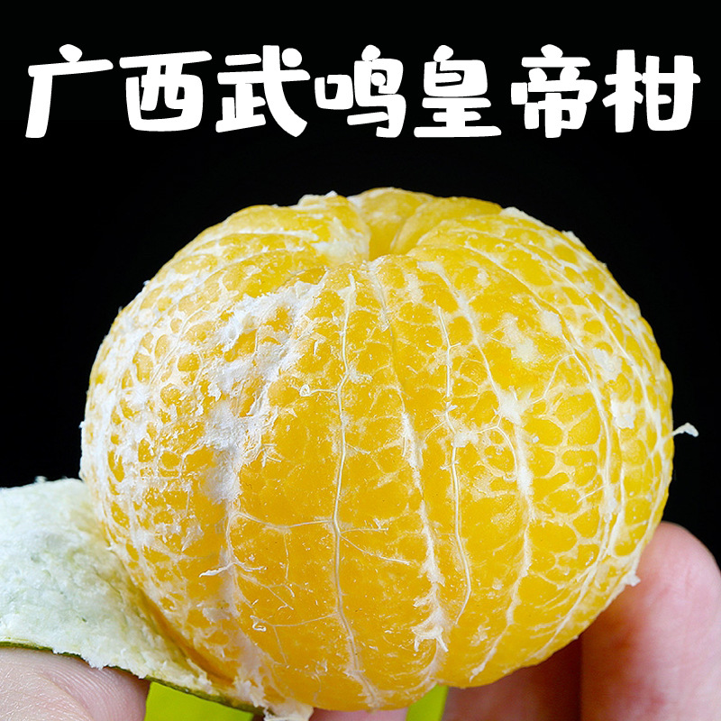 『严选广西武鸣皇帝柑』现摘9斤装当季新鲜水果贡柑桔皇帝柑橘薄