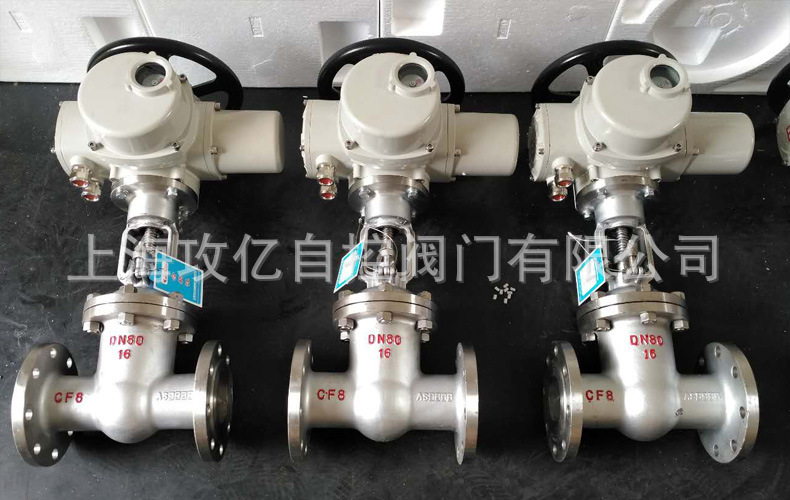 电动闸阀18.JPG