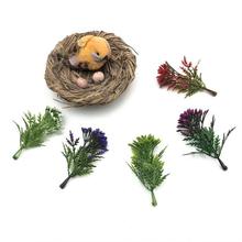 7CM�����黨 ���滨����ֲ�������辰ˮ���ƺ���hˮ���������