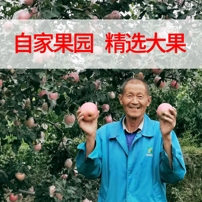 【甄选大果】产地直供山西红富士苹果10斤装脆甜新鲜水果批发代发