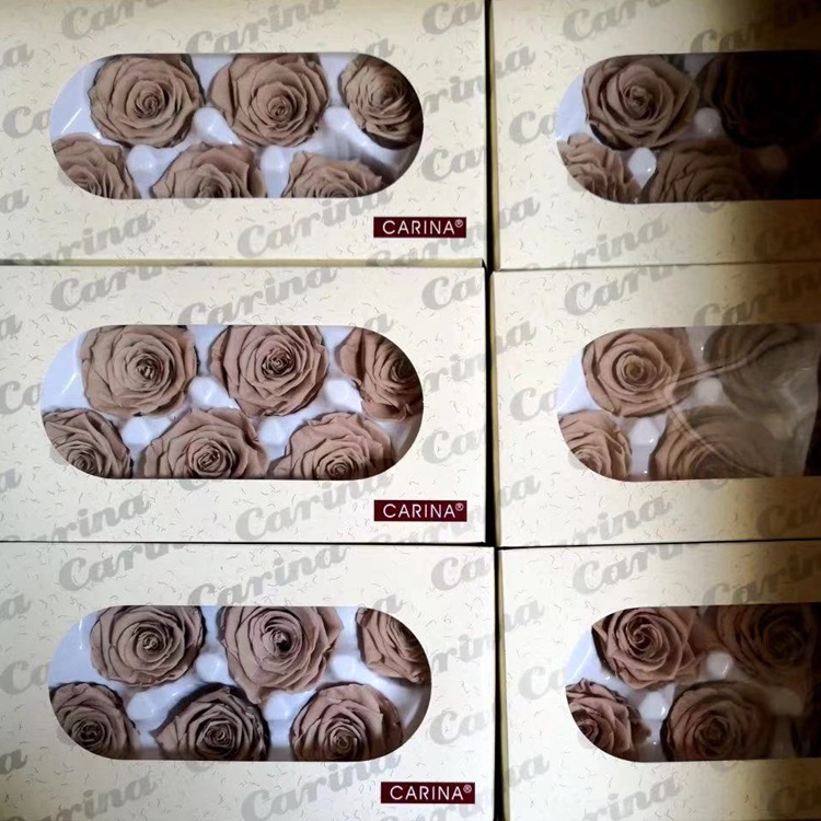 微信图片_20200206184707