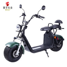 EEC COC늄ӻĦ܇2 Wheel electric scooter 늄܇