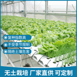 �ӹ�����ˮ���߲˟o�����ಣ������������w�o���������Ҵ����O��