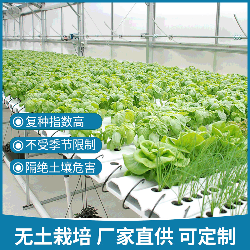 加工定制水果蔬菜无土栽培玻璃温室配件立体无土栽培温室大棚设备