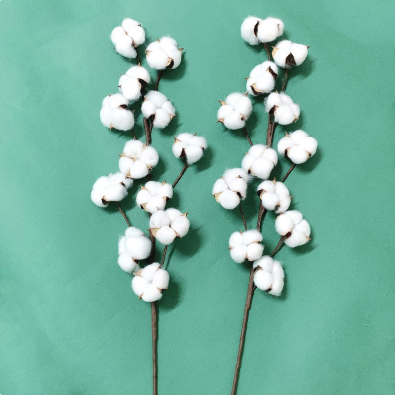 Simulation 12 Maintable cotton dried flowers handmade art single…