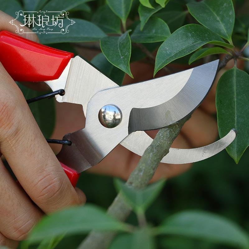 Tijeras de podar jardinería tijeras de podar bonsai rama gruesa tijeras de podar de gran diámetro tijeras de podar de acero inoxidable cuchillo mango de hilo