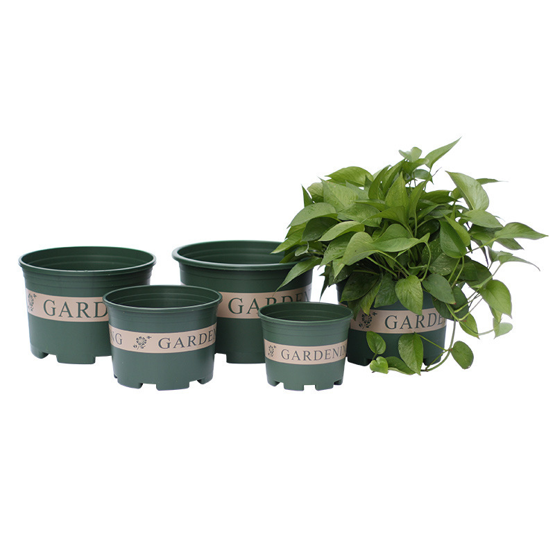 Printed Gallon Basin Rose Dummy Flower Pot Green Flower Pot Plastic Flower Pot Without Tray Printed Gallon Basin Rose Dummy Flower Pot Green Flower Pot Plastic Flower Pot Without Tray