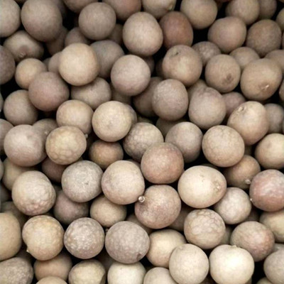 福建桂圆整箱20斤