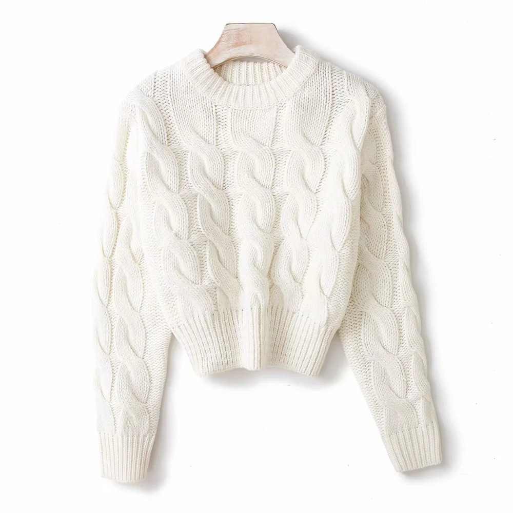 autumn and winter thick knitted twist sweater NSAC14586