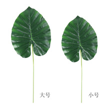 ~ 潁ˮ^~ ^~ Gɏ~ tɏ~ ֲ