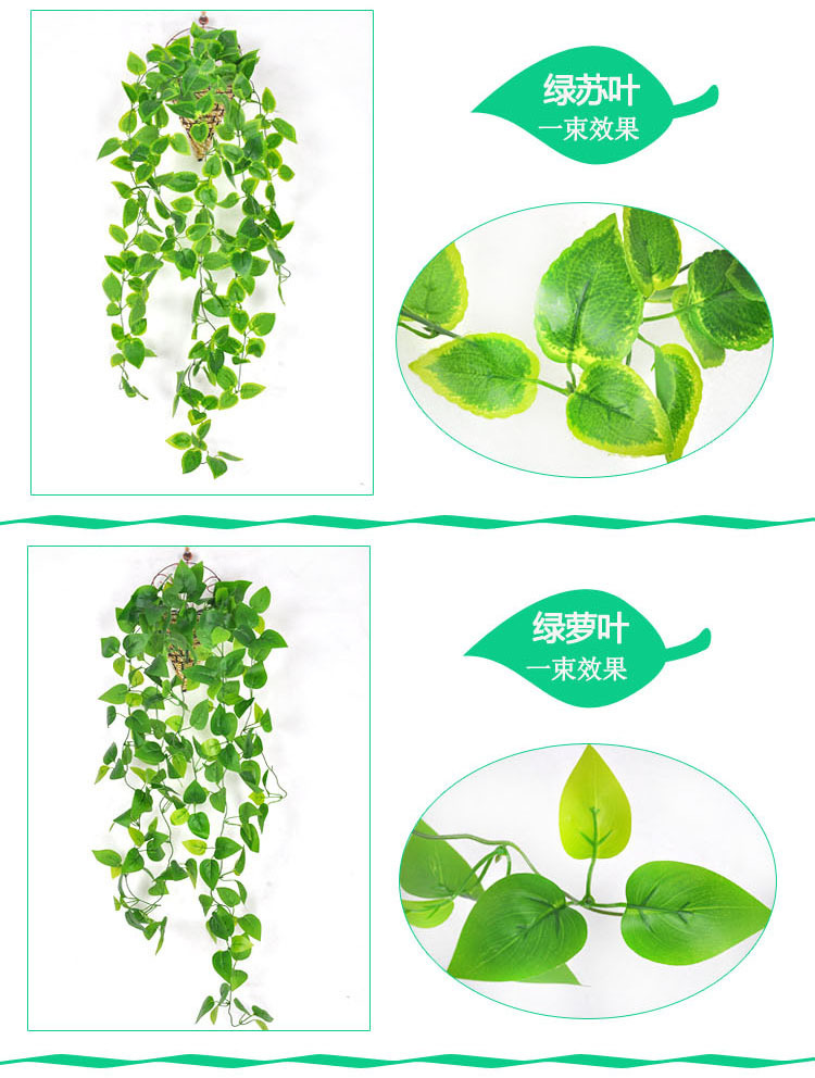 10798575151_580073846