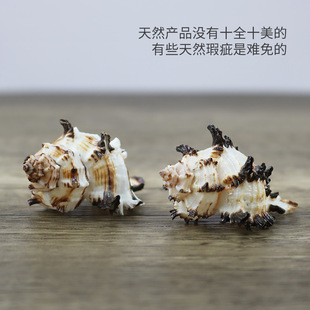 ��Ȼ����ؐ��С��ǧ�����Ĺ��ݼľ�з��Q����ؐ�~���쾰diy���l