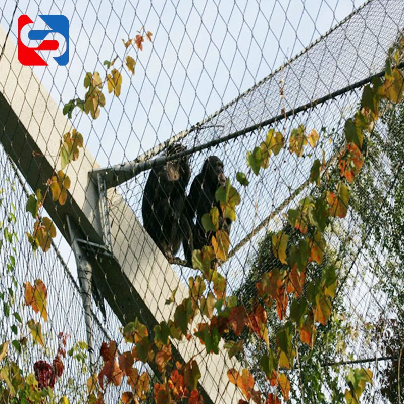 [Bird Garden Network] оптовая веревочная сеть птичий язык лесной птица садовая сеть производство можно настроить нержавеющая сталь клетка птичий сад сеть