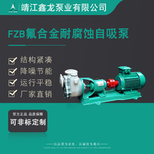 鑫龙FZB型卧式氟塑料合金化工耐腐蚀自吸泵 厂家可定制