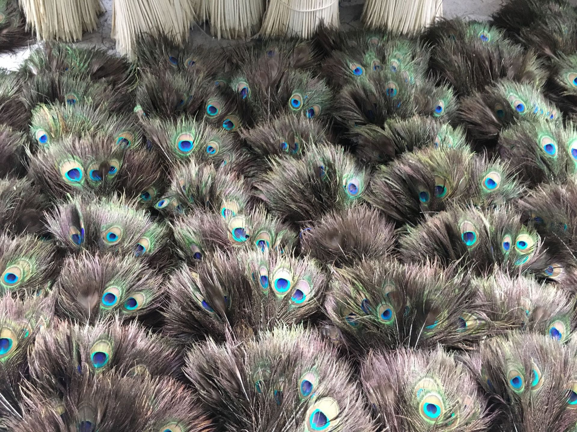 4b60873c8cebbfe1258498b7098d9a