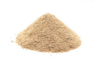 �S�ҹ��� �ϘO���r�� Ó֬�ϘO���r�� Ó֬�r���T�D