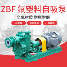 江南65ZBF-45卧式氟塑料自吸泵 无水氟化氢输送泵 化工离心出料泵