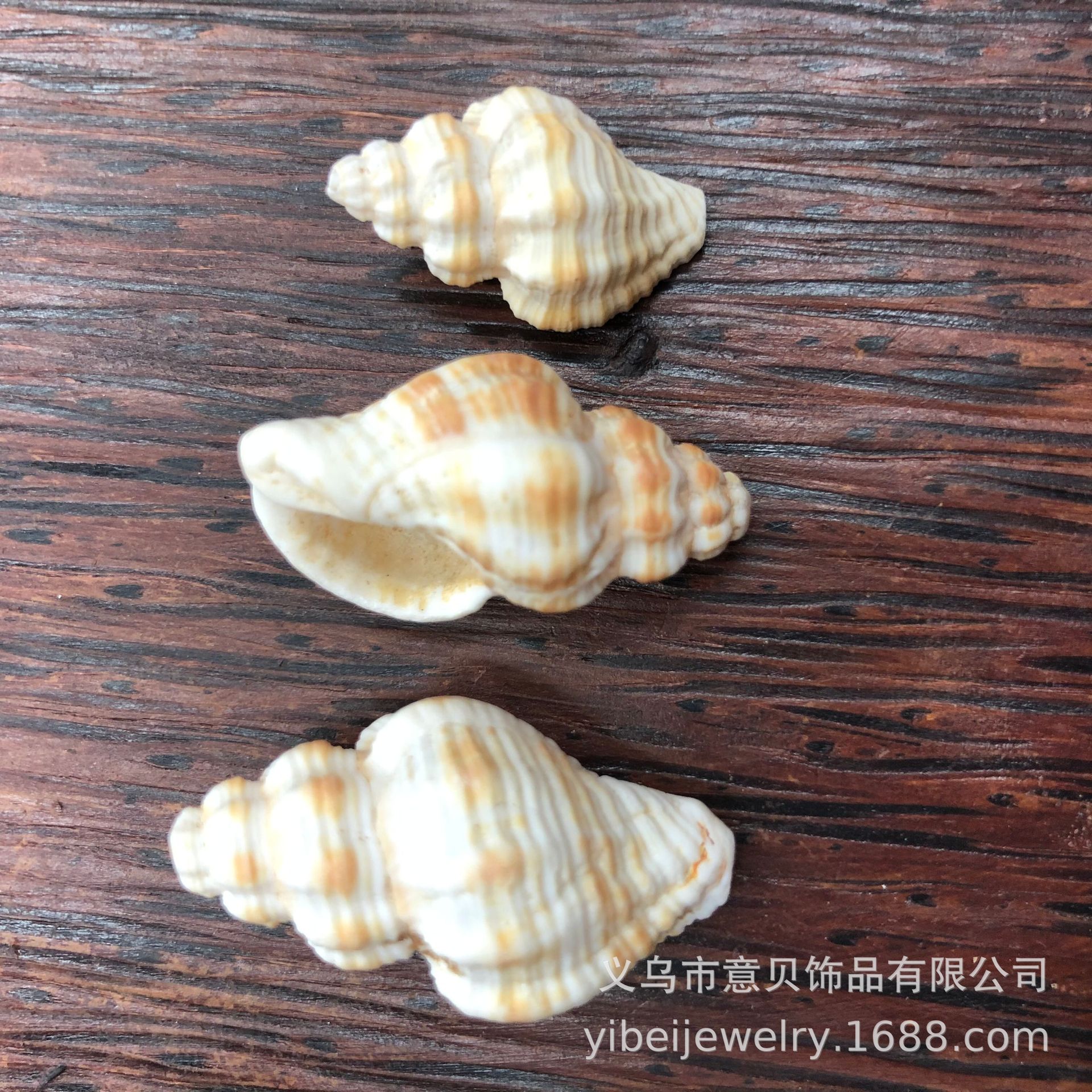 7017066075D13DD474470954034D64