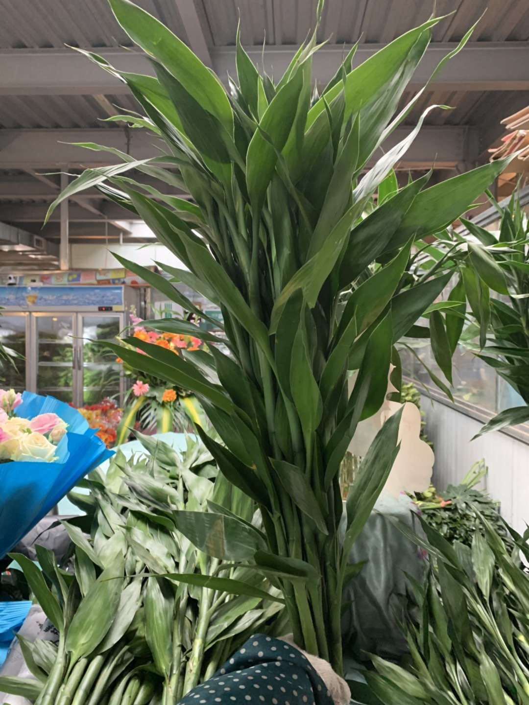 微信图片_2020040321140311