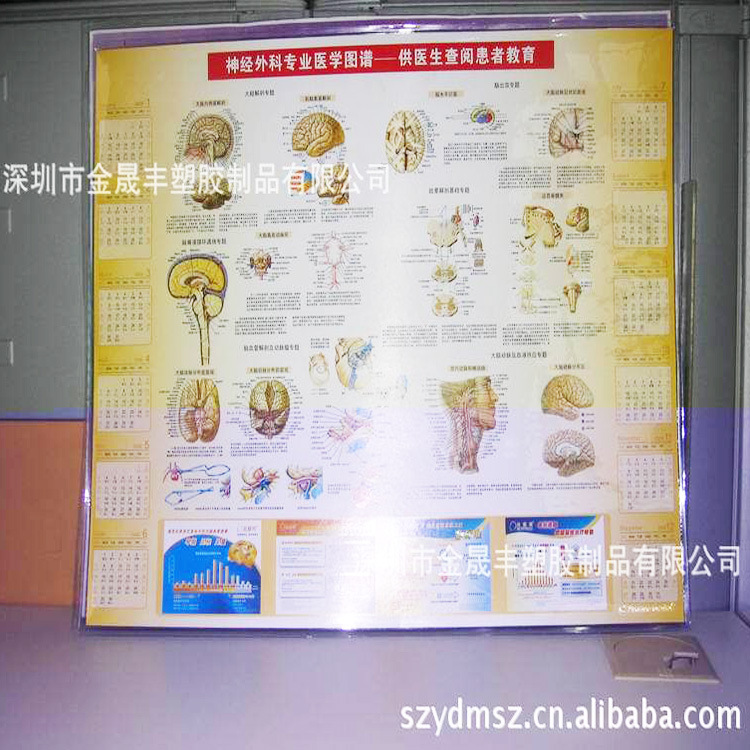 厂家定制视力表挂图 pvc吸塑广告挂图桌垫人体器官构造学习图谱垫