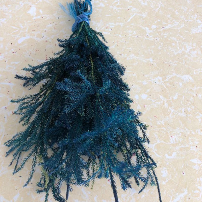 微信图片_20200221143023_副本