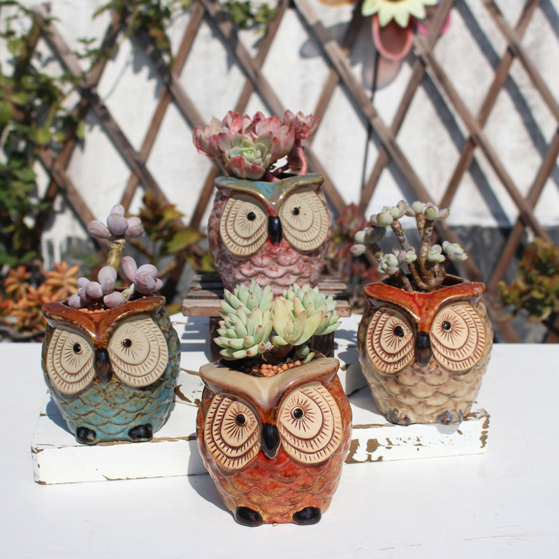 New Owl Fleshy Flower Pot Creative Home Ornaments Stoneware Breathable Thumb Pot Cartoon Animal Simple Flower Pot