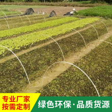 �����S�ҿɶ����r��С����֧�ΗU �����w�S���Ҵ�����@����֧��