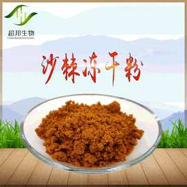 厂家供应沙棘冻干粉99%提取物食品级原料粉植物萃取粉末小分子