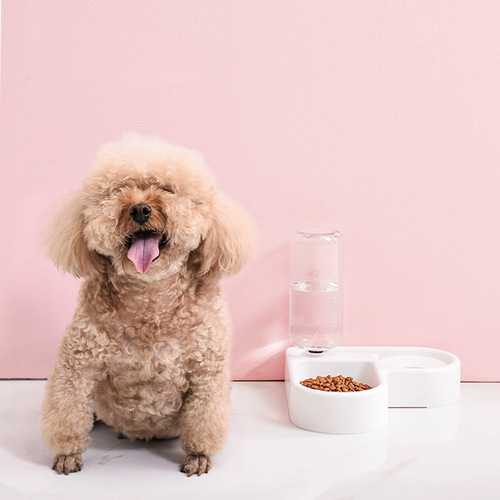 Creative pet supplies pet bowl corner double bowl automatic waterer feeding bowl multi-functional cat bowl right-angle bowl