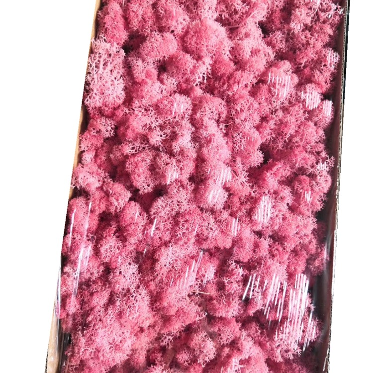 微信图片_20200321235407_副本