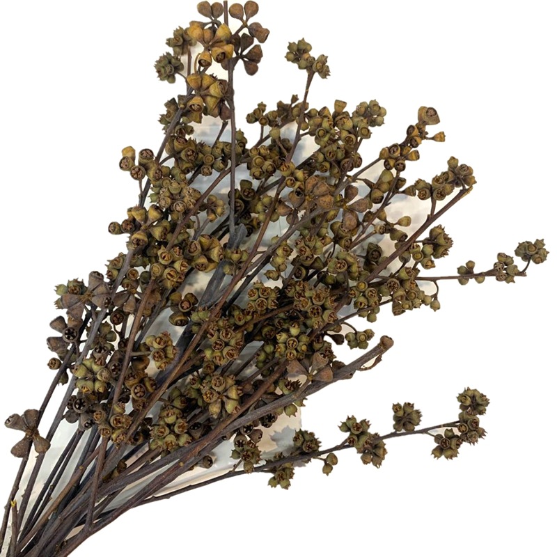 微信图片_20200408160243