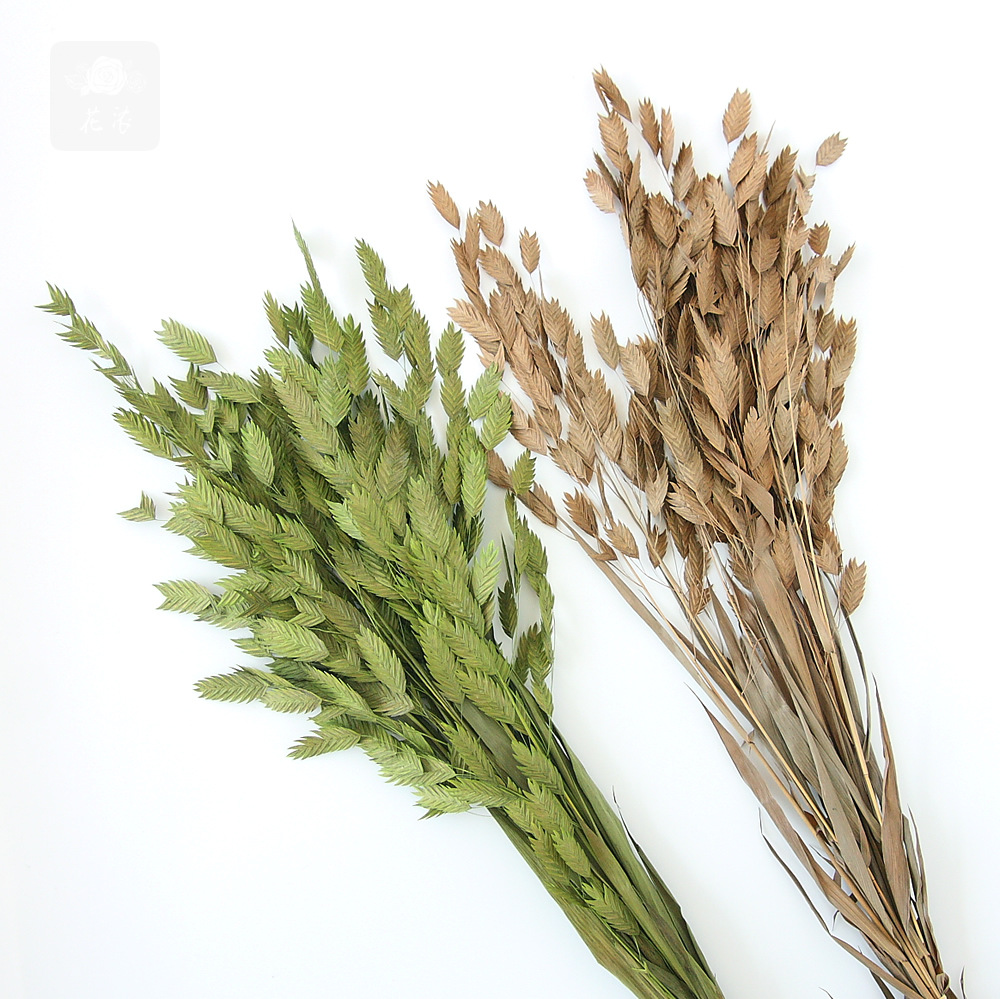 干花花材钻石草家居插花手工diy礼盒玻璃罩浮游瓶配材摄影道具|ru