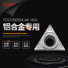 TCGT090204/090202-AK H01 �������ǆ����X�õ�Ƭ