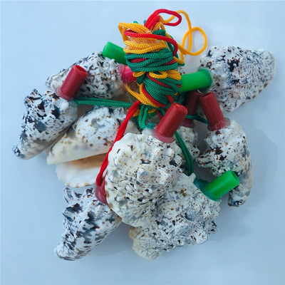 創意地攤海螺貝殼飾品白貓螺哨小螺號兒童玩具吹螺口哨貝殼哨批發