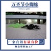 Halloween Plastic Spider decorate Haunted House Skull Noctilucent line up Toys wholesale Manufactor Direct selling Customized