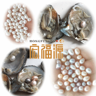 �������� �n��Ůʿ����9-10mС��0.5Ԫ���е�̺�̈����N �S�����l