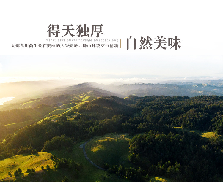 山水-有机秋木耳_07