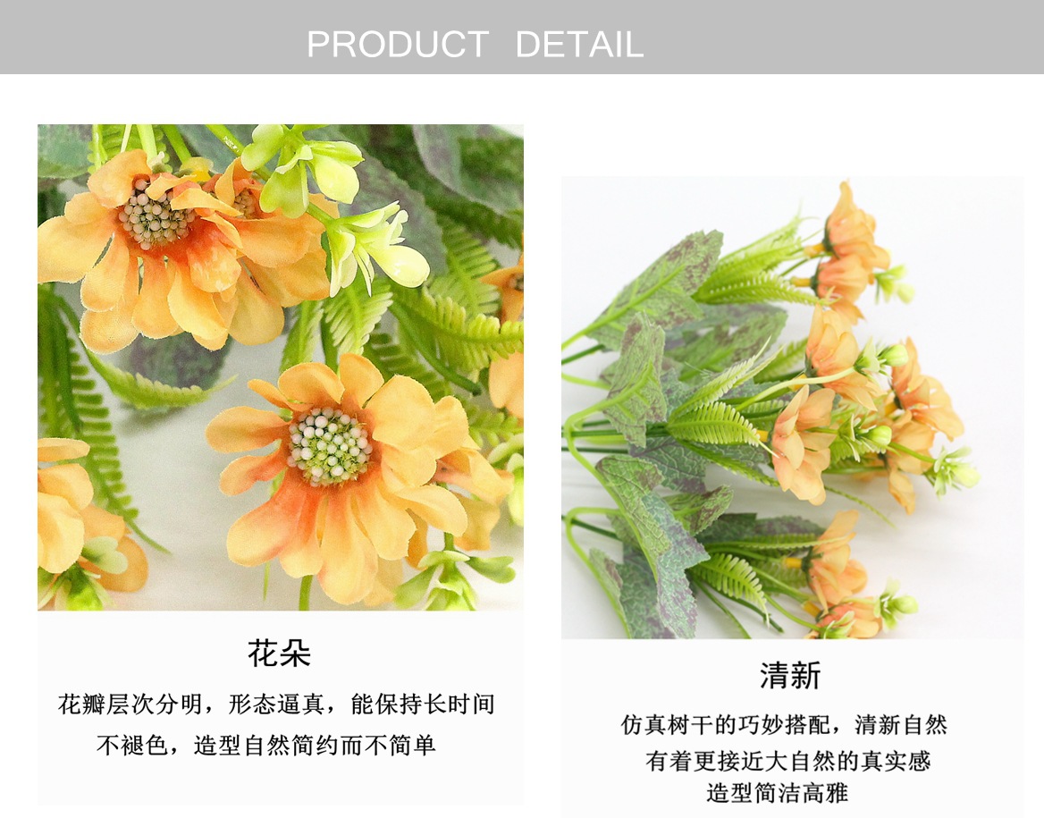 IMG_7655_副本_副本