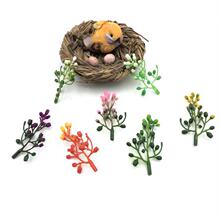 6CM�˻��� �����辰ˮ���鴮��� ����ֲ�����Ե�ƺ�����ϻ����